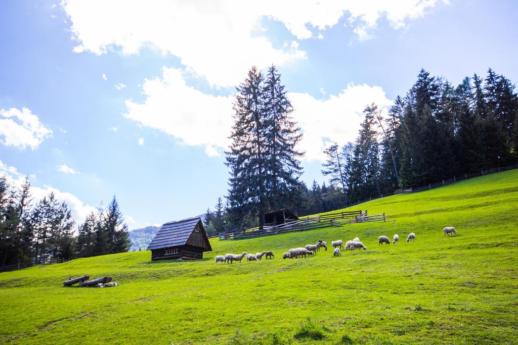 U Dobreho Pastiera Villa Ruzomberok Buitenkant foto